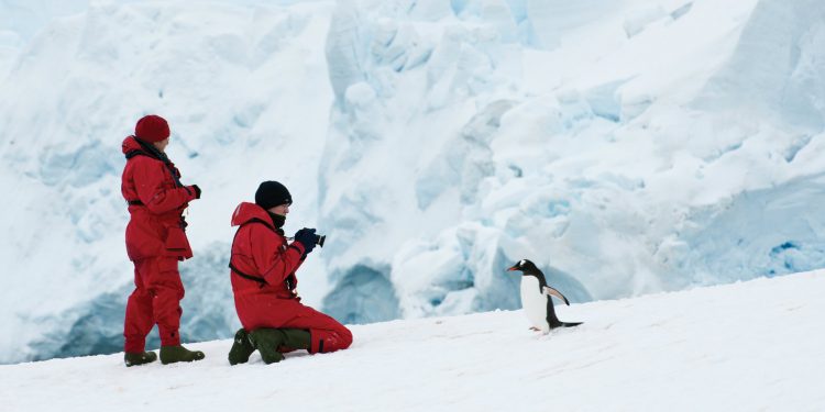 Antarctica penguin encounter one ocean expedition Contours Travel