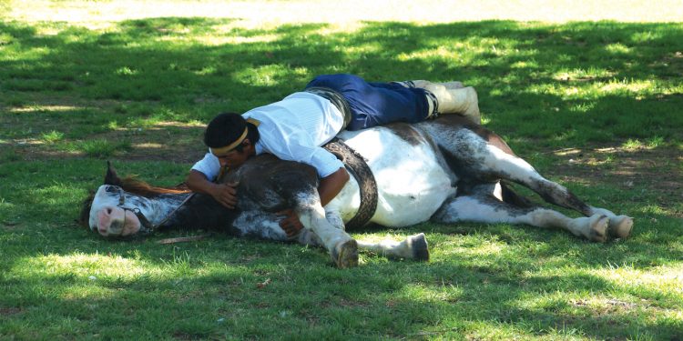 Gaucho - Horse whisper from La Bamba de Areco Contours Travel