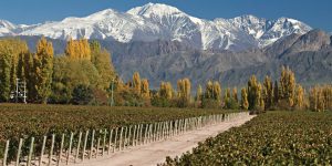 Landscape of wine valley with Andes in the back Chile Proturs Contours Travel