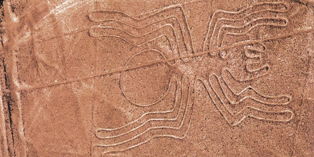 Nazca Lines Spider Peru South America Contours Travel