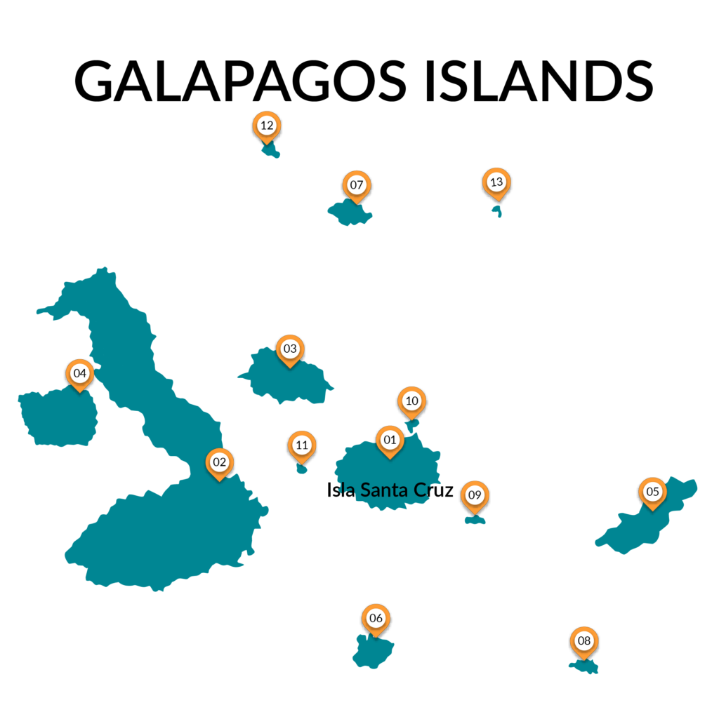 GALAPAGOS ISLANDS-1 | Contours Travel | Experts in tailor-made tours