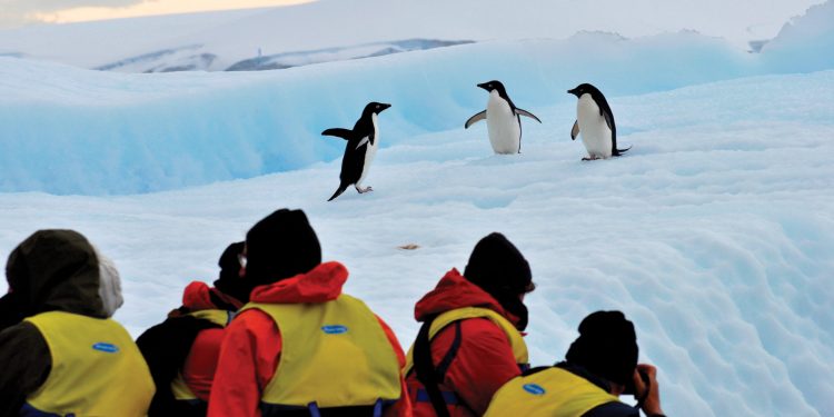 Greg Mortimer: Antarctic Explorer