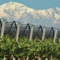 Wine country in Mendoza Argentina Furlong Contours Travel