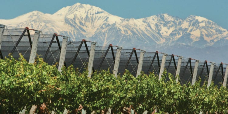 Mendoza Wine Route