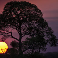 Brazil Caiman Ecolodge Pantanal SM - Por do sol - Sunset
