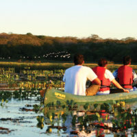 Brazil Caiman Ecolodge Pantanal ZP - Passeio de canoa canadense - Canadian canoe tour VI