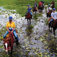 Brazil Pantanal Peralta Cruise Horse riding