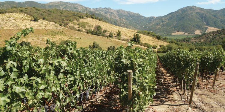 Contours Travel Famil Trip 2018 to Santiago, Buenos Aires and Tierra del Fuego