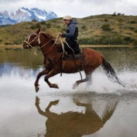 Chile Expora Patagonia horseback riding in Torres del Paine Contours Travel