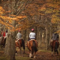 Chile Tierra Patagonia horseback-ride excursion Contours Travel