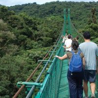 Monteverde canopy walk Costa Rica Central America Contours Travel