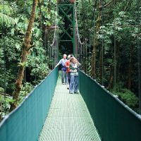 Canopy Trail in Monteverde Costa Rica Central America Contours Travel