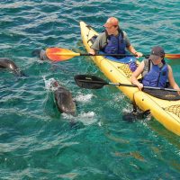 Ecuador Galapagos Neotropic Hiking and kayaking La Soledad Isla Lobos