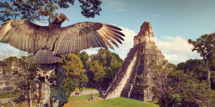 Uaxactún & Tikal Adventure