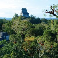 Guatemala Via Venture Tikal ruins Contours Travel