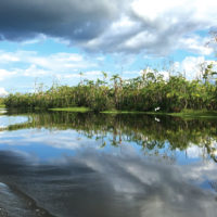 Landscape Boat ride Iquitos Amazon Peru Muyuna Lodge Carla Ottone