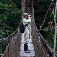 Peru Iquitos Jungle Experiences Zafiro Cruise Canopy walk Contours Travel