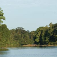 Landscape in Manu Wildlife Center Maldonado Amazon Peru Inkanatura