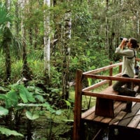 Walkways in Reserva Amazonica, Puerto Maldonado Amazon Peru Contours Travel