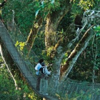 Canopy walk in Reserva Amazonica, Puerto Maldonado Peruvian Amazon Contours Travel