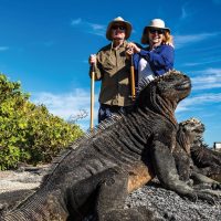 Wildlife marine iguana Fernandina Punta Espinoza Galapagos Ecuador courtesy of Metropolitan Touring Contours Travel