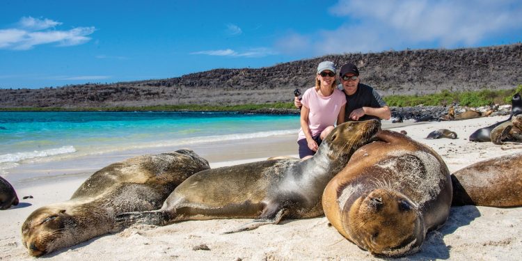 Wildlife sea lion beach Santa Fe Galapagos Ecuador courtesy of Metropolitan Touring Contours Travel
